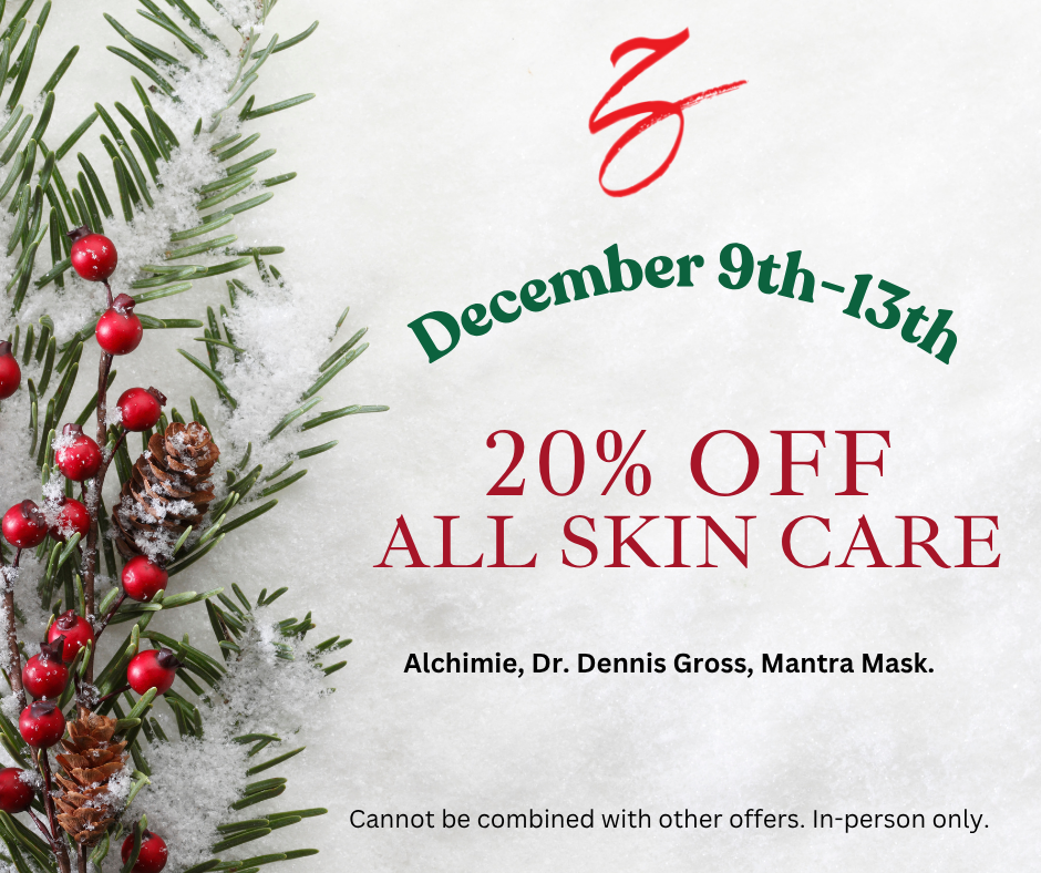 a christmas tree branch with red berries and pine cones on it